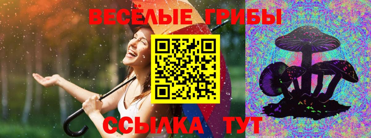 Псилоцибиновые грибы Psilocybe  Вход с VPN  Ленинск-Кузнецкий 