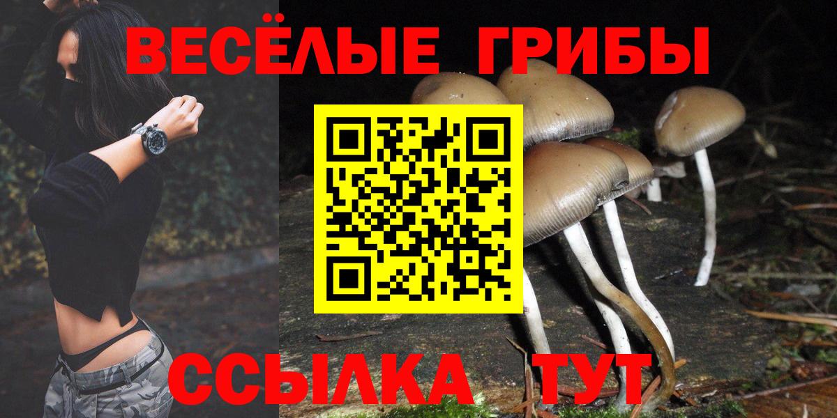 Галлюциногенные грибы Cubensis Ленинск-Кузнецкий
